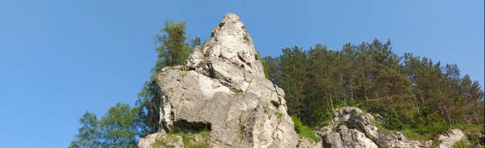 Dolinki Będkowska i Kobylańska wraz ze zwiedzaniem jaskini Nietoperzowej