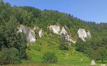 Dolina Kobylańska