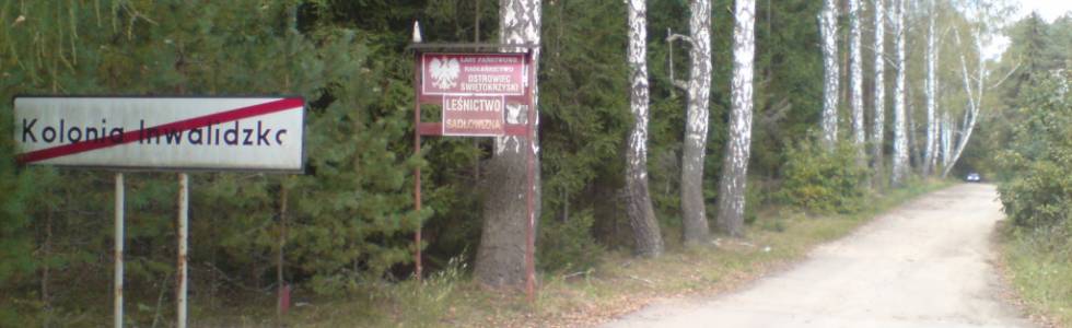 Śladami historii przez lasy Ostrowieckie