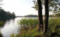 Jezioro Wronczyńskie Małe