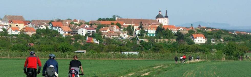 Morawskie Szlaki Wina - pętla znojemska