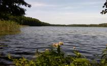 Jezioro Gościąż