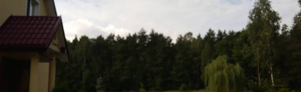 Rezerwaty i parki krajobrazowe w lasach Gostynińsko-Włocławskich