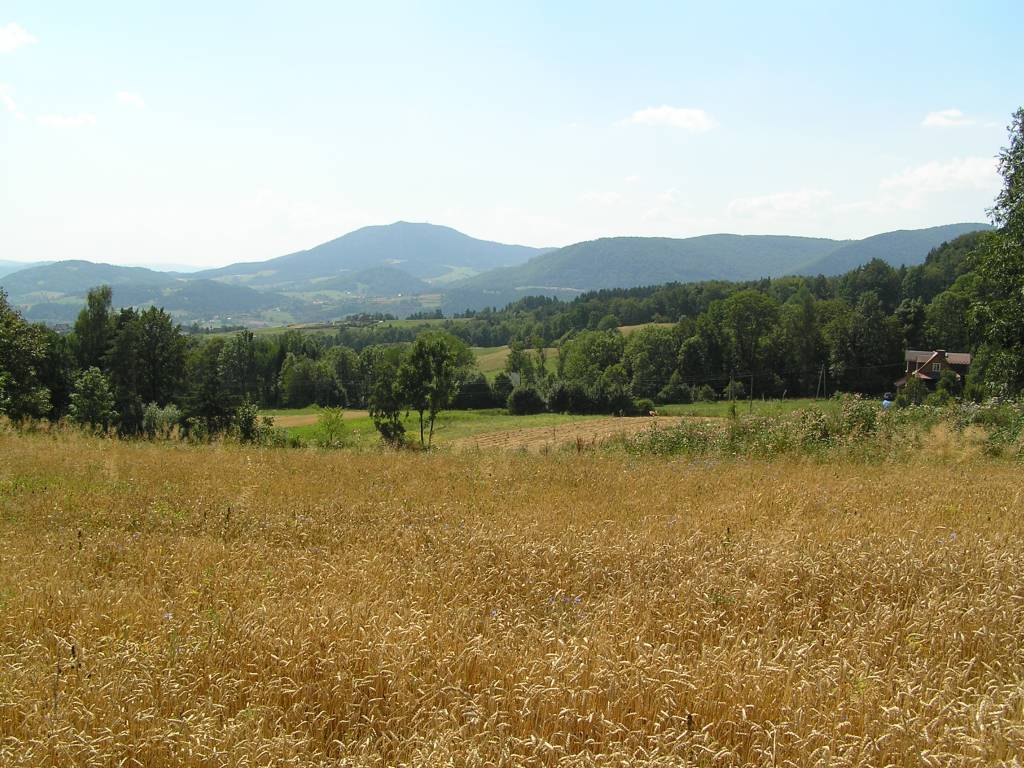 Trasa Trekkingowa Kasinka Ma A Os P Oskonki O R Wyp Lubogoszcz