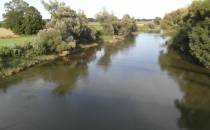 Cisek -  rzeka Odra