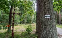 Leśny Krzyż przy zielonym szlaku, Mariusz Maryniak
