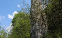 Dolina Będkowska - skała Iglica