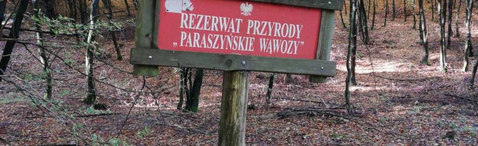 Paraszyńskie wąwozy