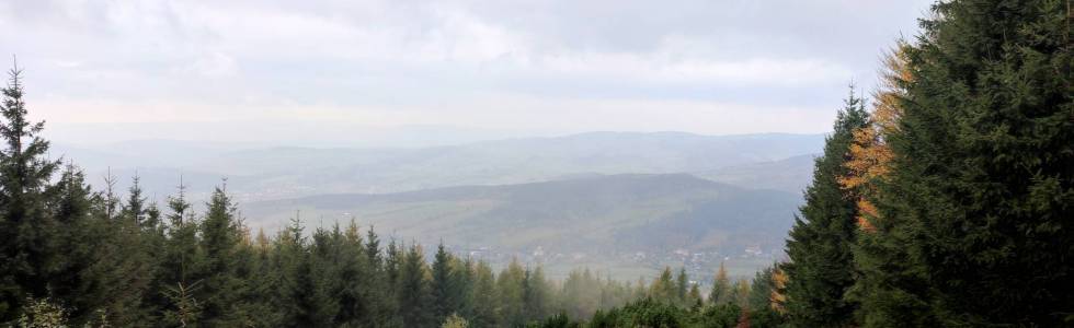 Kalenica (Góry Sowie)