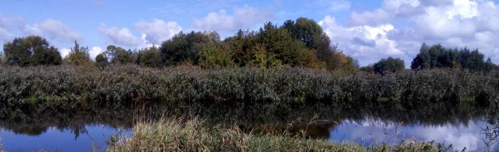 Tykocin - Góra. Szlaki: Puchalskiego i Królowej Bony.