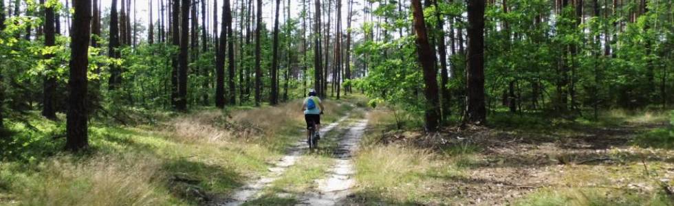 Górecko Stare i Kościelne Roztoczański Park Narodowy Zwierzyniec