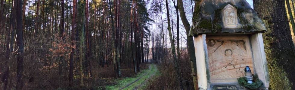 Pętla rowerowa Kłobuck, Opatów, Złochowice, Zakrzew 25_12_2022 14:14