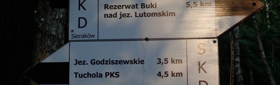 Szlak Grobia - Sieraków - Pieszy Czarny ver. 2022