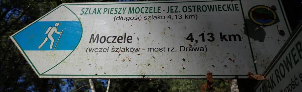 Szlak Moczele - Jezioro Ostrowieckie - Pieszy Niebieski ver. 2022
