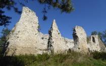 ruiny zamku w Bydlinie