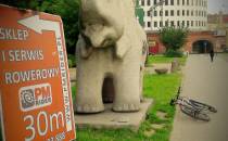 Slon pod Arkadami Wroclaw