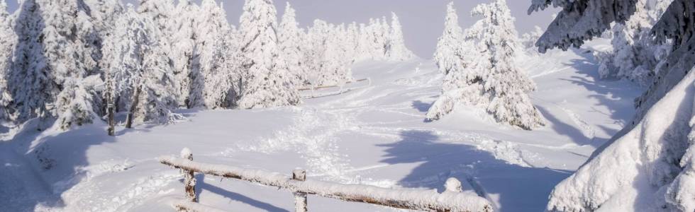 2023.01.23 Międzygórze_Śnieżnik