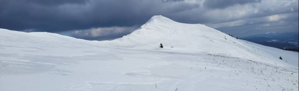 snowgliding symulacja