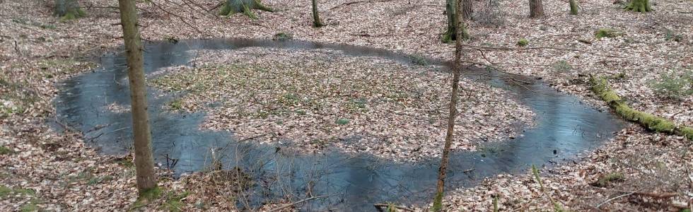 Nad meandrami strumyków w zimne niedzielne popołudnie