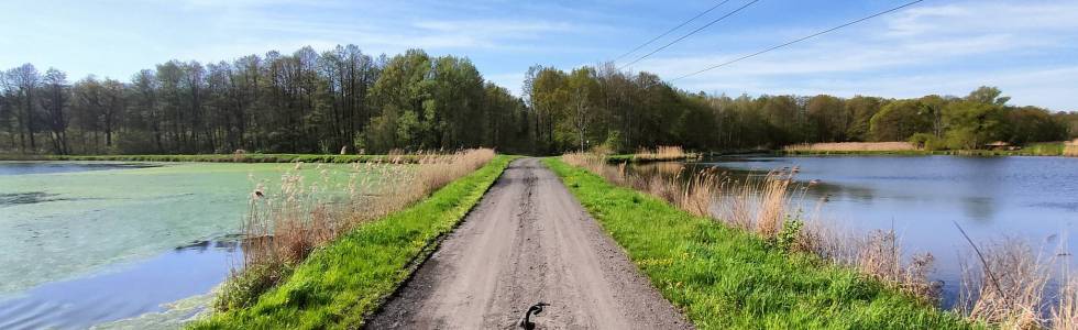 Szuterowy All Inclusive Zagłębia Miedziowego