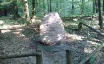 Kamień Witolda Plapisa