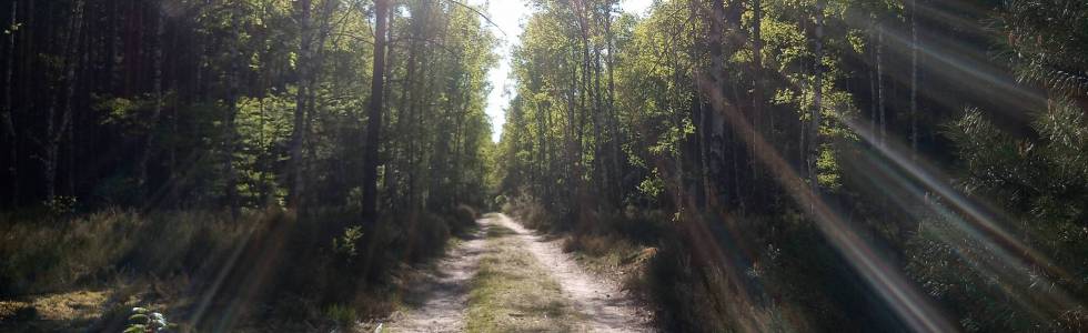 Przyczepką rowerową po Henrykowie i Choszczówce