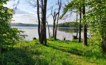 Półwysep Krzywy Ostrów dzika plaża