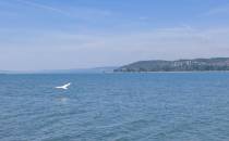 Balaton