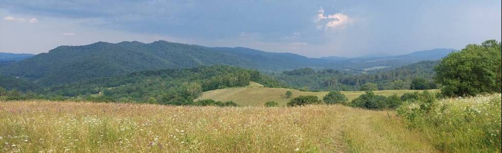 Bieszczady : Terka - Studenne - Terka