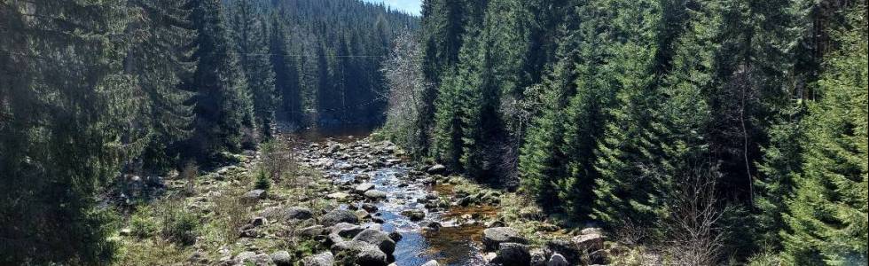 Góry Izerskie : Jakuszyce - Jizerka - Hala Izerska - Jakuszyce