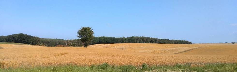 Pomorze : Dębki - Karwieńskie Błota - Żarnowiec