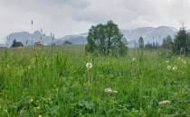 Widok na Tatry