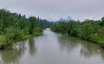 Czarny Dunajec