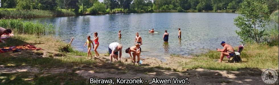 Dziergowice-Korzonek. 25-06-2023.