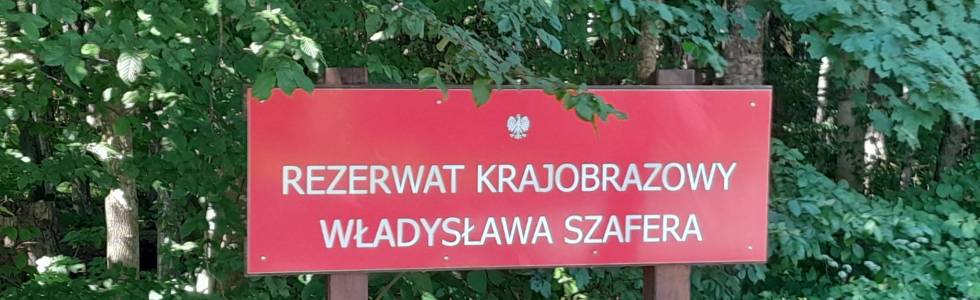 Białowieża Miejsce Mocy