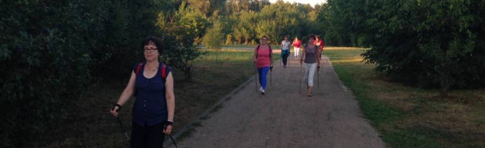 Zajęcia nordic walking w Gdańsku 21.08.2014