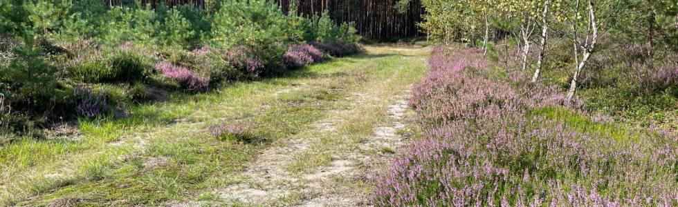 Węgorzewo - Leśna Przygoda - Jezioro Topiele - Sianów