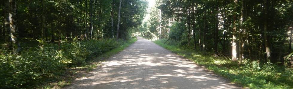 Białowieża - Siemiatycze