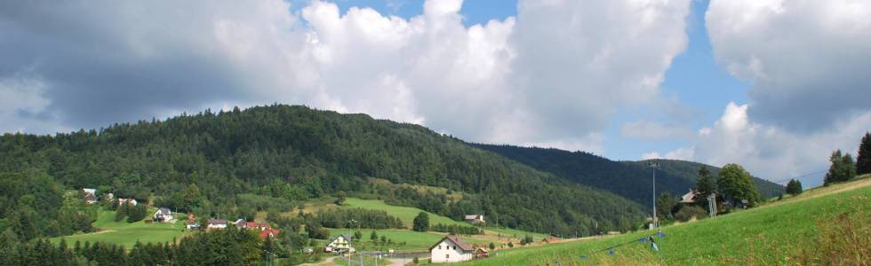 BESKID WYSPOWY - PASMO Łososińskie - Sałasz Zachodni