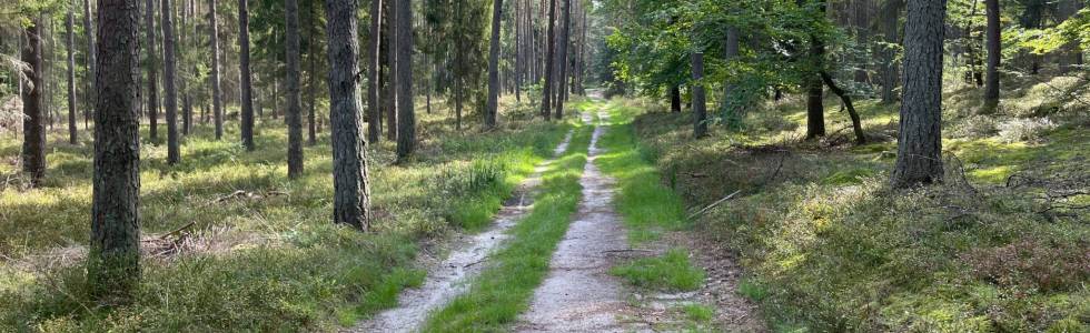 Węgorzewo - Szczeglino - Dęborogi - Wyszebórz