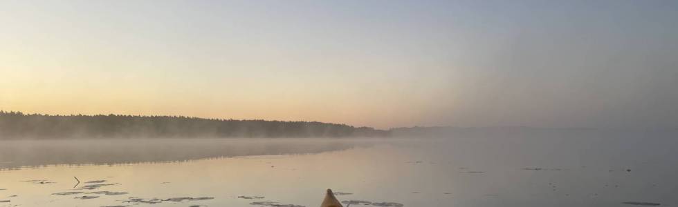 Sedansk Foggy Morning