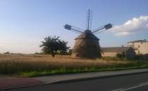 Zabytkowy wiatrak holenderski w Szwarszowicach