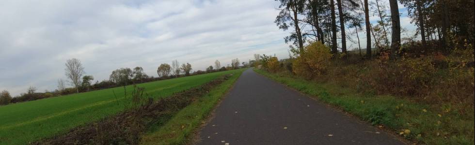 Prochowice-Ścinawa - ścieżka rowerowa