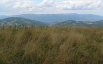 Panorama z Hali Pawlusiej na Pasmo Baraniej Góry