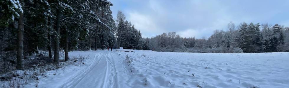 Żerdeniki-Zerbuń-Kiersztanowo-Miejska Wieś-Żerdeniki