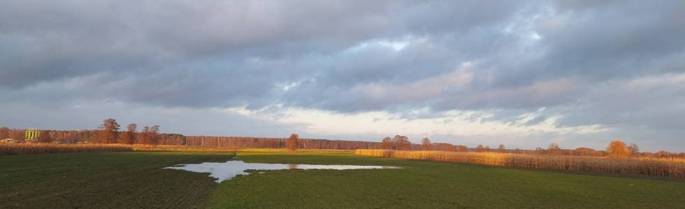 Dobrzeń Wielki