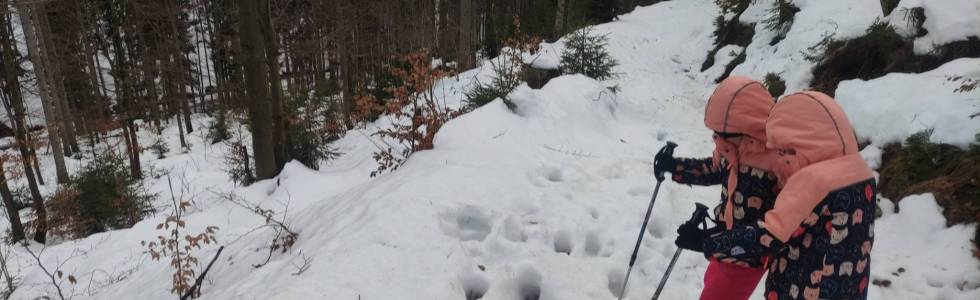 Baranią z dzieciakami czarna wisełka