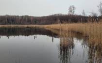Jezioro Księżno (Probst-See) użytek ekologiczny