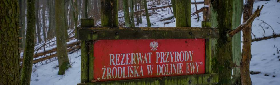 Wędrówka po trójmiejskich lasach - Gdańsk Oliwa vol.2