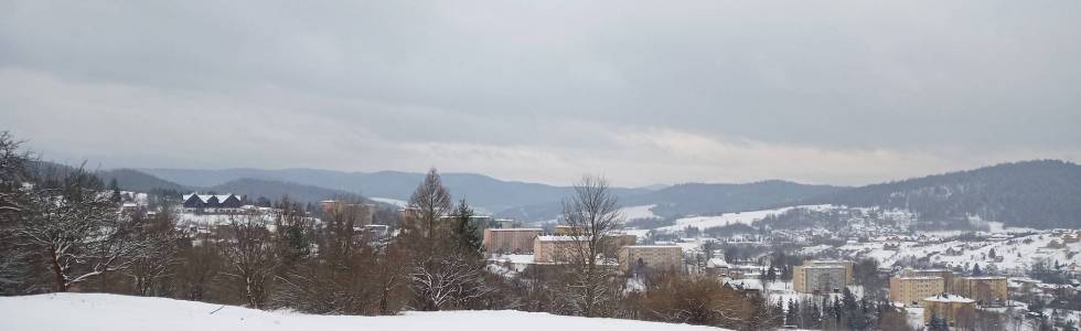 Bradowiec i Szalone z Powroźnika